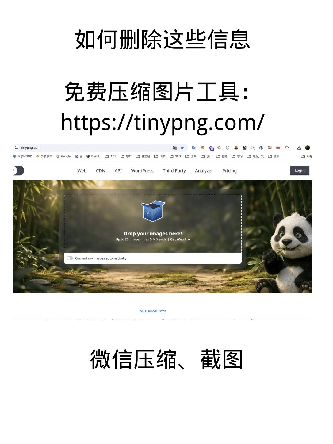 ChatGPT生图已经这么强了,设计师真的要失业了吗? - ChatGPT生图已经这么强了,设计师真的要失业了吗?:第 5 张